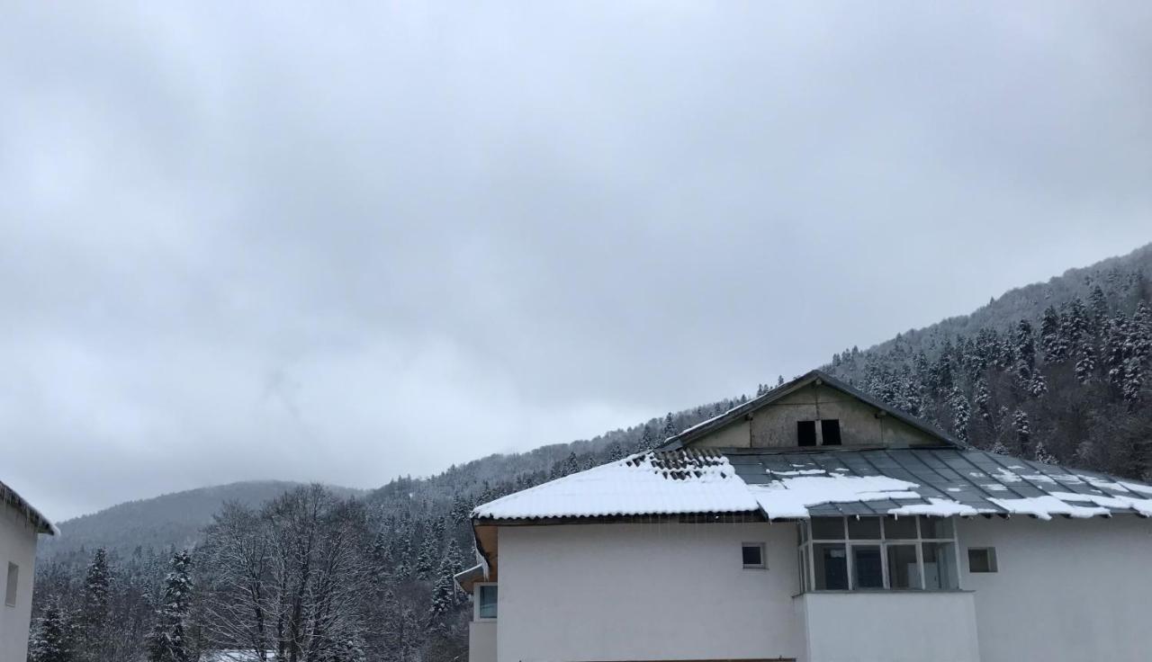 Cocooning In A Lovely Mountain Suite - One Azuga Eksteriør billede